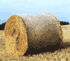 3.gif (1828 bytes)